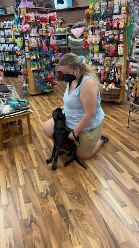 Pet Supply Store «Top Dogs Pet Boutique», reviews and photos, 900 Mansell Rd #13, Roswell, GA 30076, USA