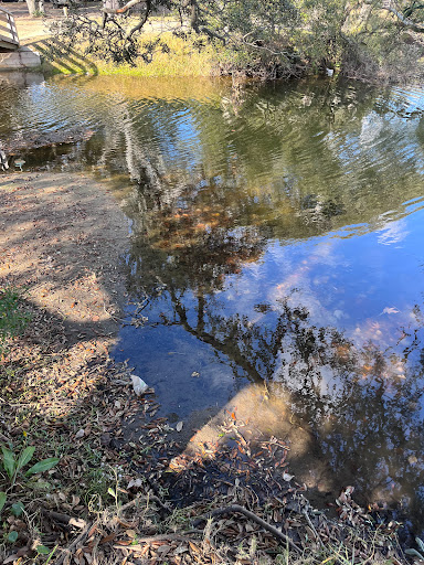 Campground «Pirateland Family Camping Resort», reviews and photos, 5401 S Kings Hwy, Myrtle Beach, SC 29575, USA