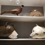 Photo n°6 de l'avis de Sivan.. fait le 04/02/2020 à 06:13 sur le  I sogni nel cassetto airport BLQ à Bologna