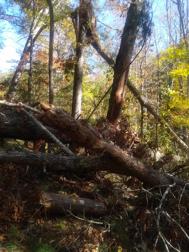 National Park «Blue Ridge National Heritage Area», reviews and photos, 195 Hemphill Knob Rd, Asheville, NC 28803, USA