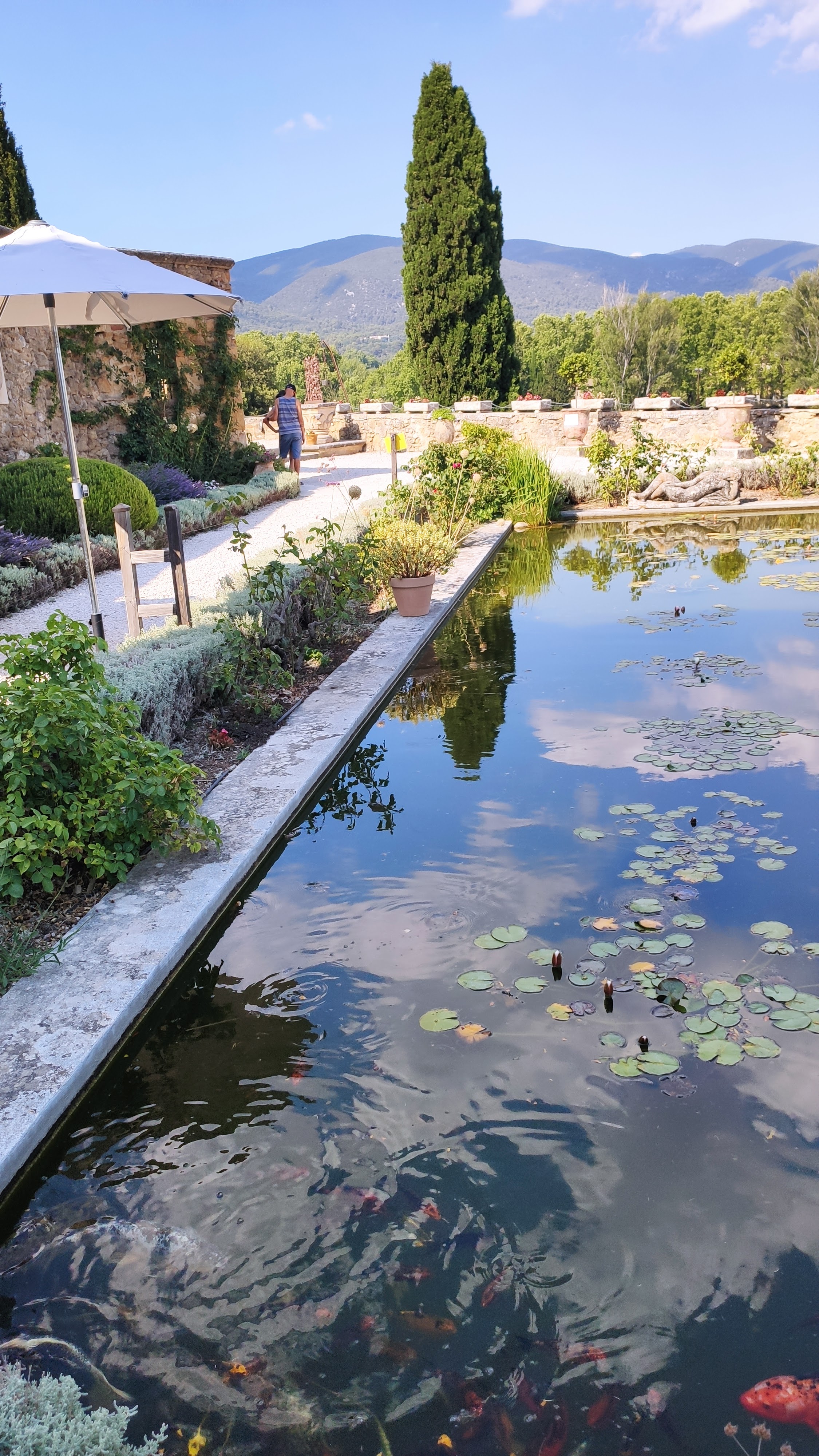 Photo n° 2 de l'avis de X..u fait le 22/07/2020 à 09:06