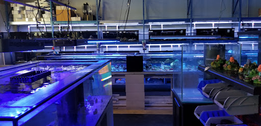 Tropical Fish Store «Shipwreck Cove Custom Aquariums», reviews and photos, 215 S El Camino Real, Encinitas, CA 92024, USA