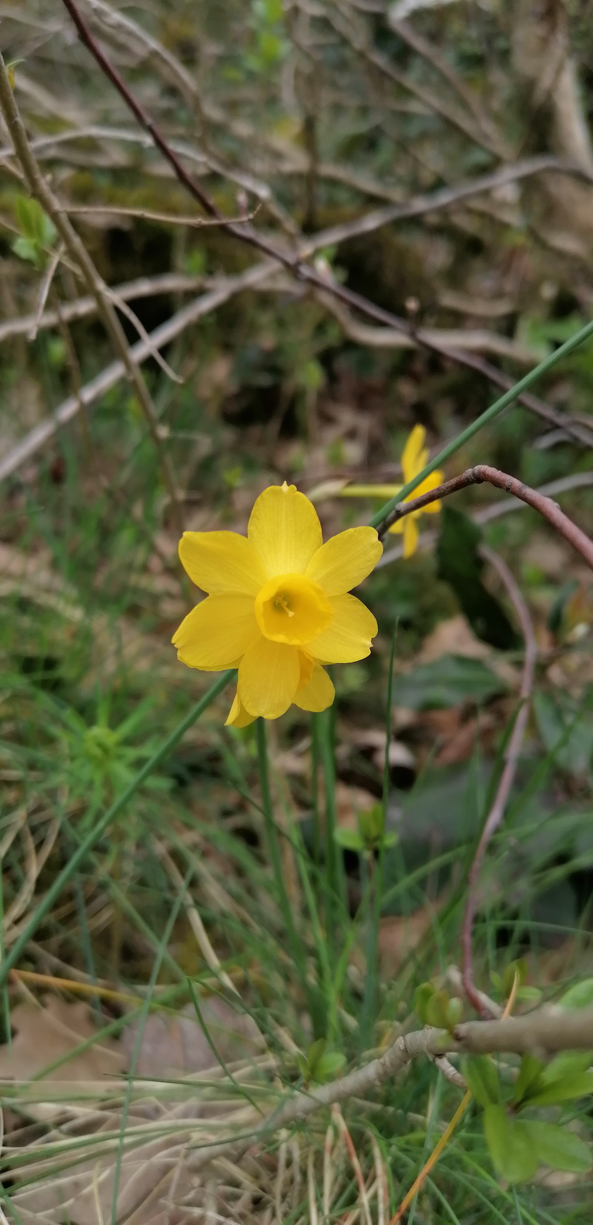 Photo n° 22 de l'avis de Olivier.u fait le 05/04/2022 à 18:02