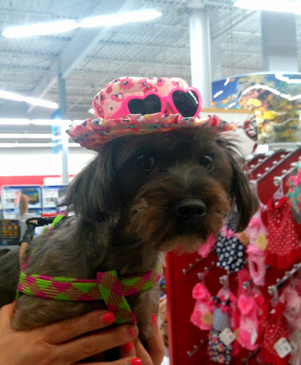 Pet Supply Store «Petco Animal Supplies», reviews and photos, 1333 Centennial Ave, Piscataway Township, NJ 08854, USA