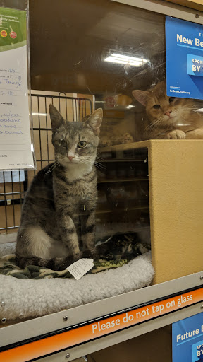 Pet Supply Store «PetSmart», reviews and photos, 1196 W Olive Ave, Merced, CA 95348, USA