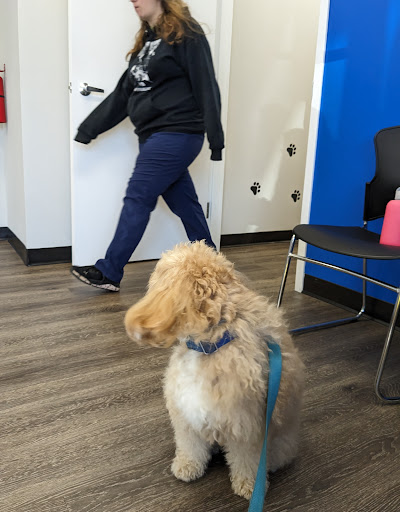 Healthy Pets - Spay, Neuter, and Wellness Clinic image