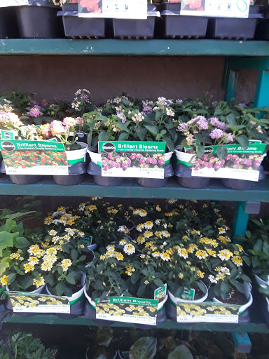 Department Store «King Soopers», reviews and photos, 12350 W 64th Ave, Arvada, CO 80004, USA