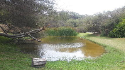 Lagunas Cañoncillo