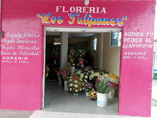 Floreria los tulipanes en Sayula de Alemán