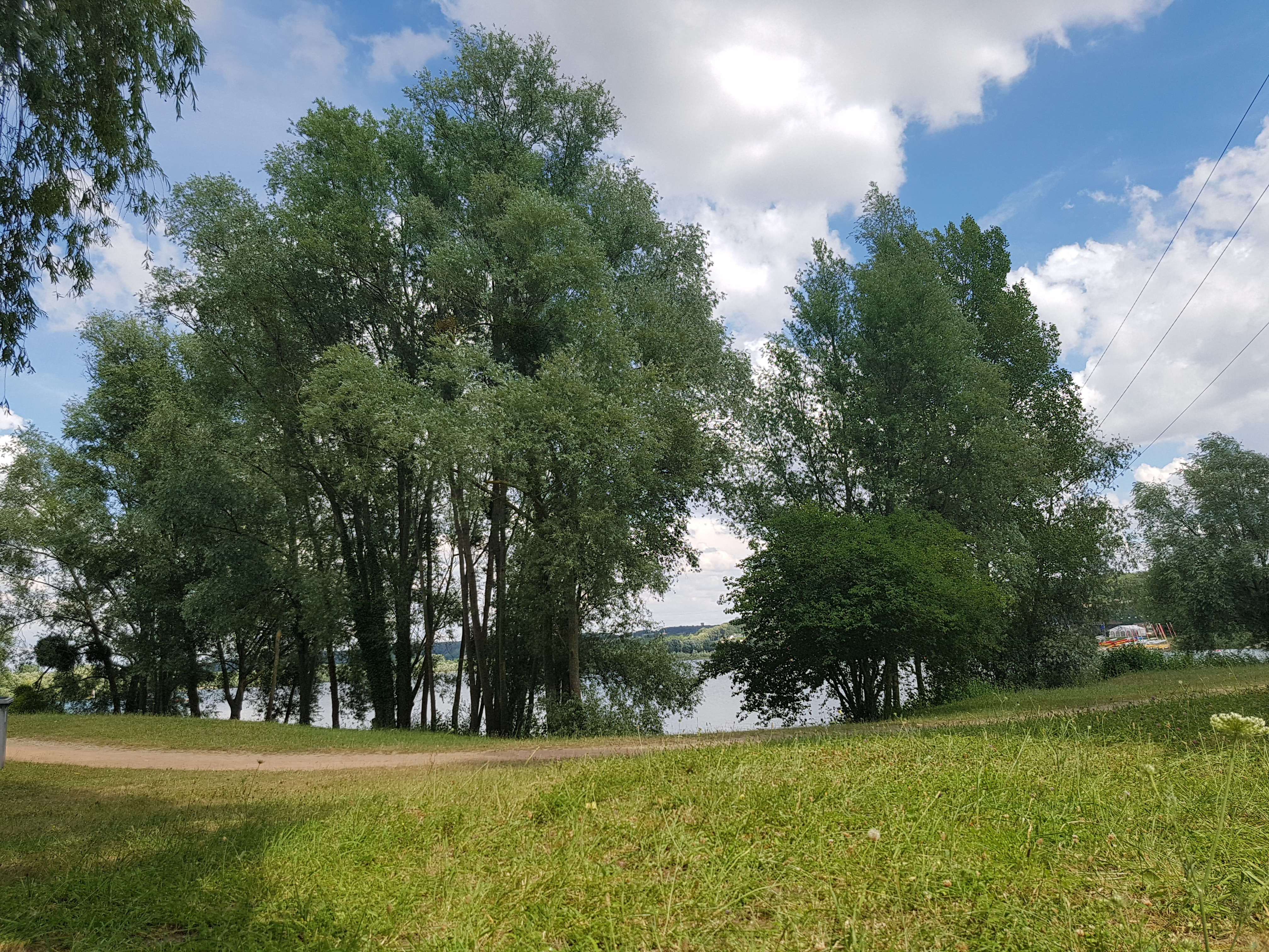 Photo n° 1 de l'avis de Coralie.u fait le 04/07/2018 à 14:00