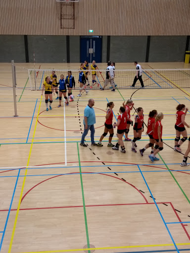 Volleyballessen Rotterdam
