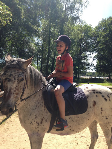 Rosalies et poney club à Sillé-le-Guillaume