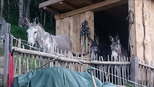 Centre Equestre Valmorel à Les Avanchers-Valmorel