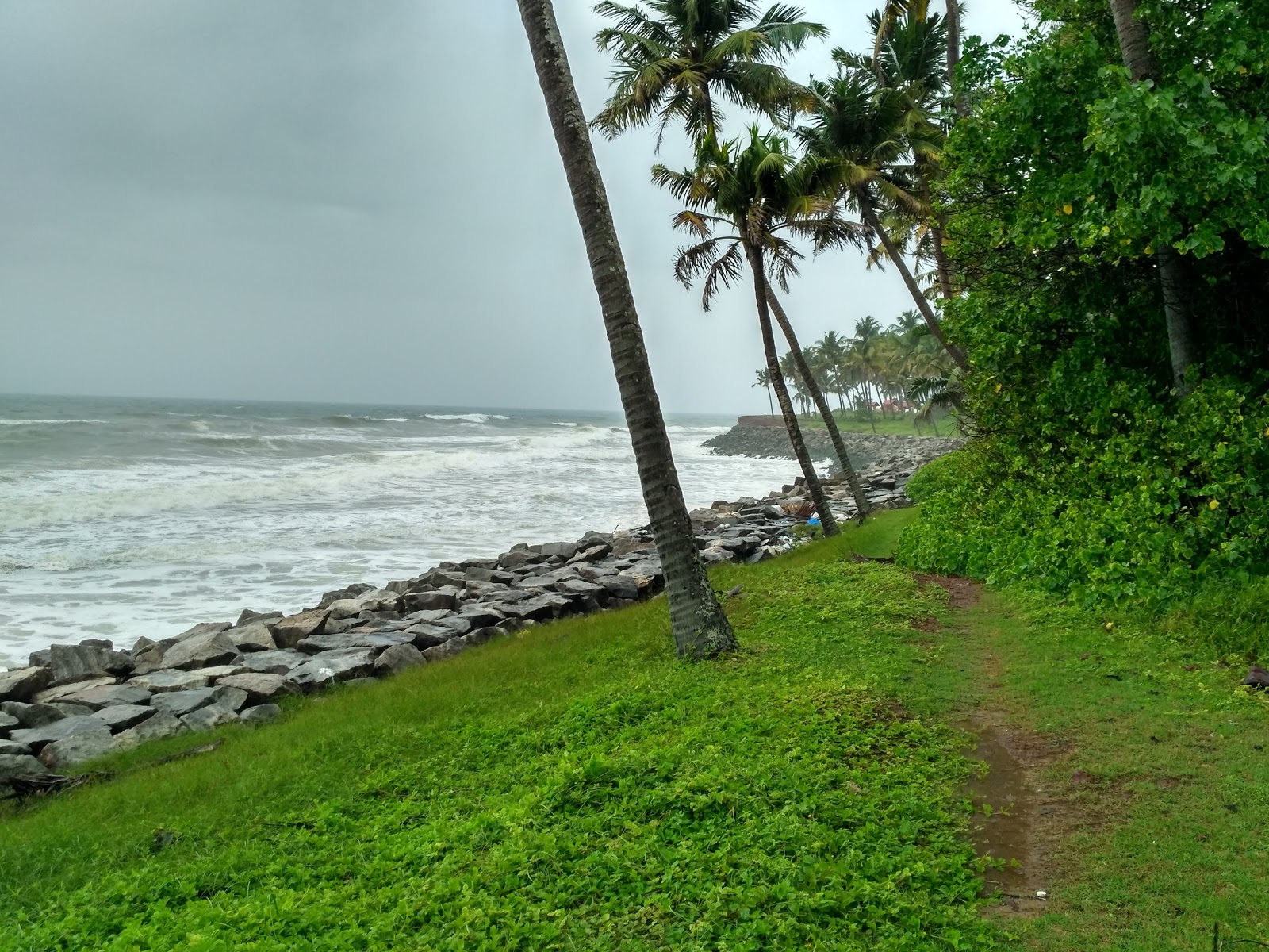 Foto van Chillakkal Beach wilde omgeving
