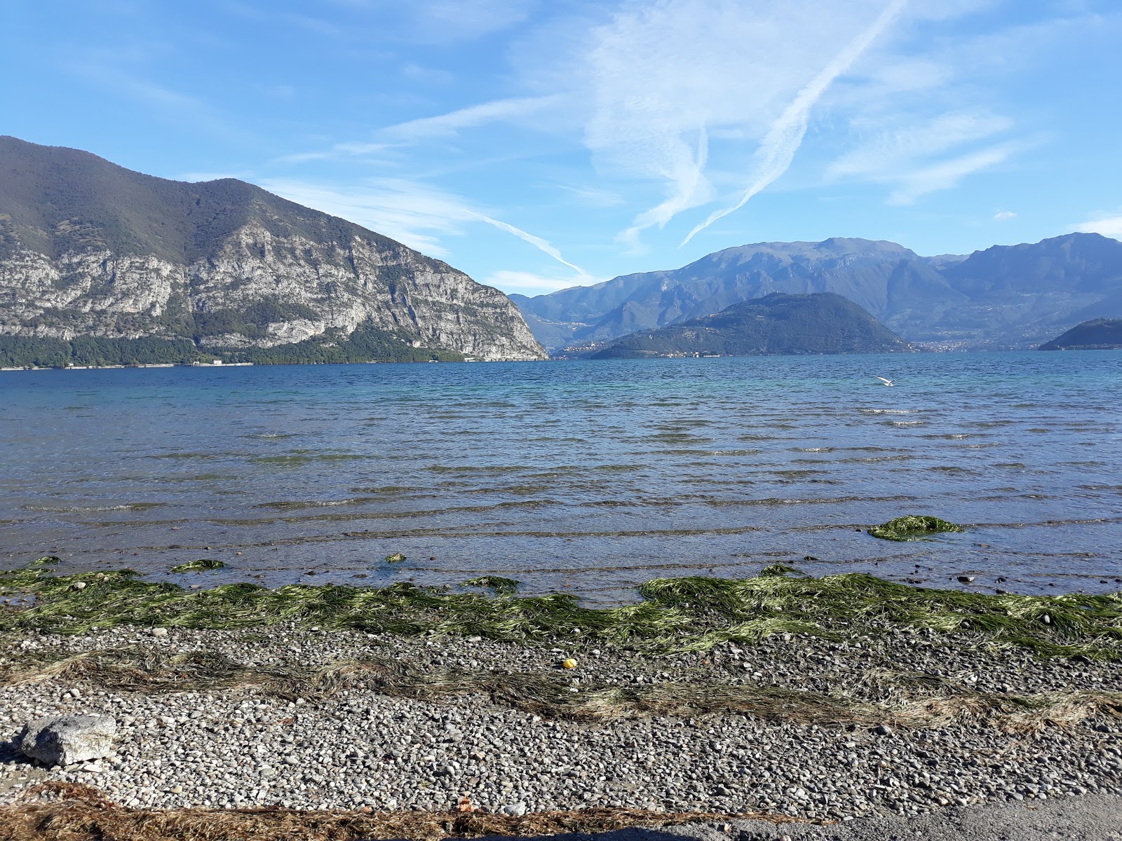 Foto von Sassabanek Sporting Lido mit gras Oberfläche