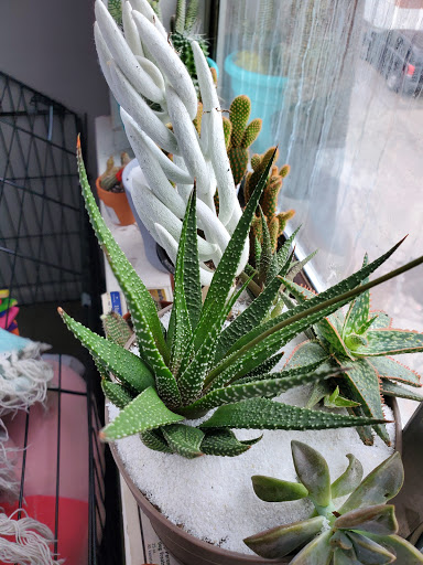 Home Improvement Store «The Home Depot», reviews and photos, 225 Berlin Turnpike, Berlin, CT 06037, USA