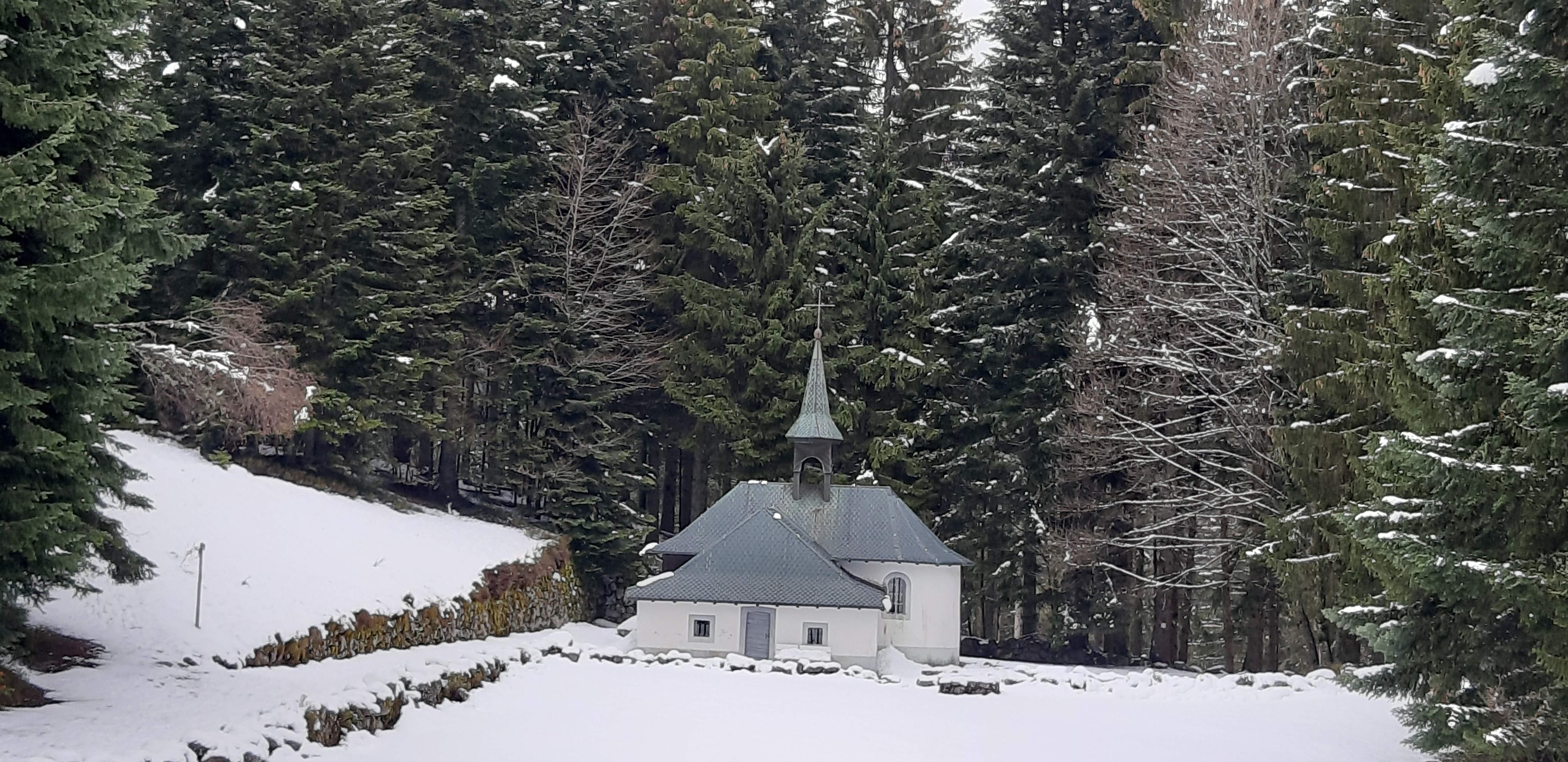 Photo n° 36 de l'avis de betty.o fait le 14/04/2019 à 10:33