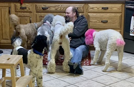 McJare's Puppy Palace