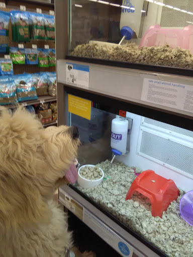 Pet Supply Store «Petco Animal Supplies», reviews and photos, 1150 Concord Ave #160, Concord, CA 94520, USA