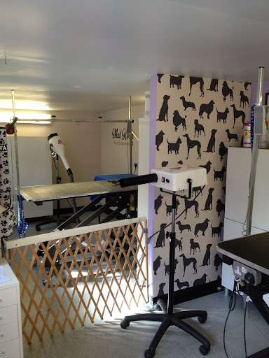 Hair & Hounds Dog Grooming