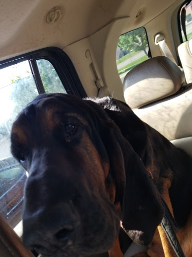 Pet Supply Store «Pet Supplies Plus», reviews and photos, 2649 E Grand River Ave, Howell, MI 48843, USA