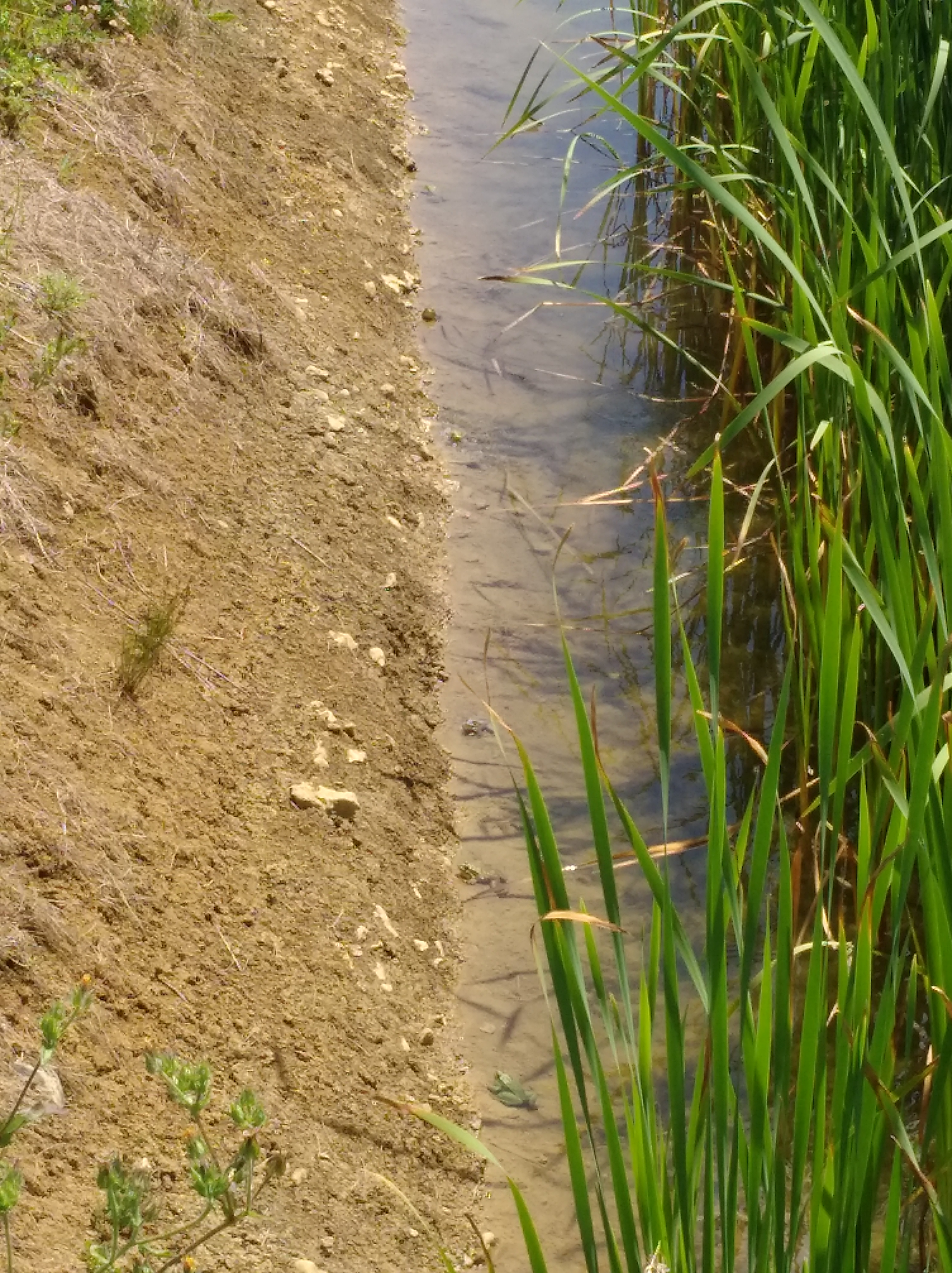 Photo n° 3 de l'avis de fanyse.M fait le 02/07/2018 à 22:32