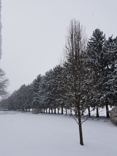 Shopping Mall «Shops at Prospect», reviews and photos, 3985 Columbia Ave, Columbia, PA 17512, USA