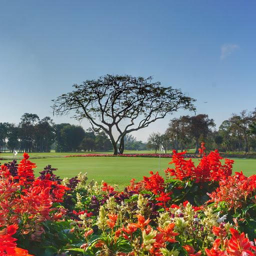 Golf Club «Royal Poinciana Golf Club», reviews and photos, 1600 Solana Rd, Naples, FL 34105, USA