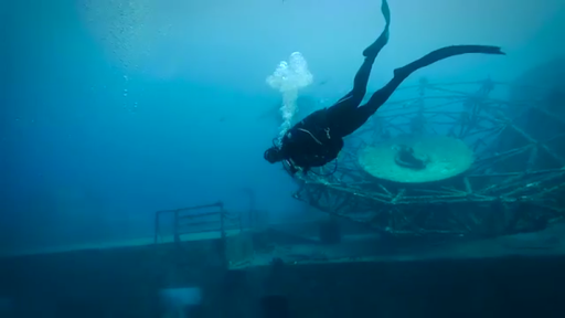 Dive Shop «The Dive Shop On McEver», reviews and photos, 3560 McEver Rd, Gainesville, GA 30504, USA