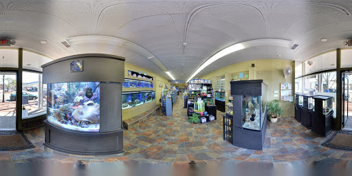 Tropical Fish Store «Life Aquatic», reviews and photos, 9 South Ave, New Canaan, CT 06840, USA