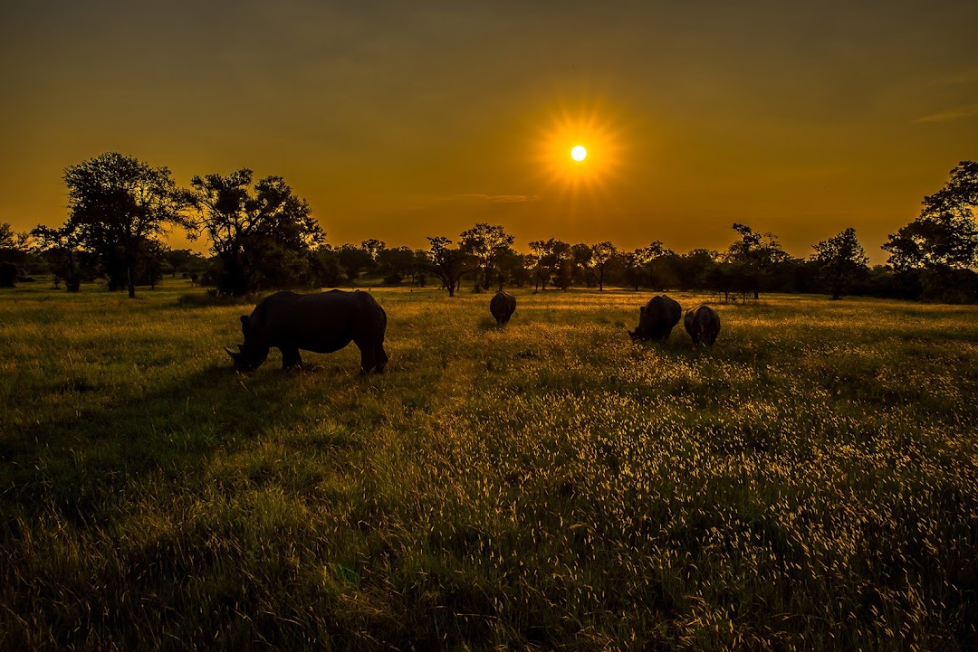 Sabie Game Reserve