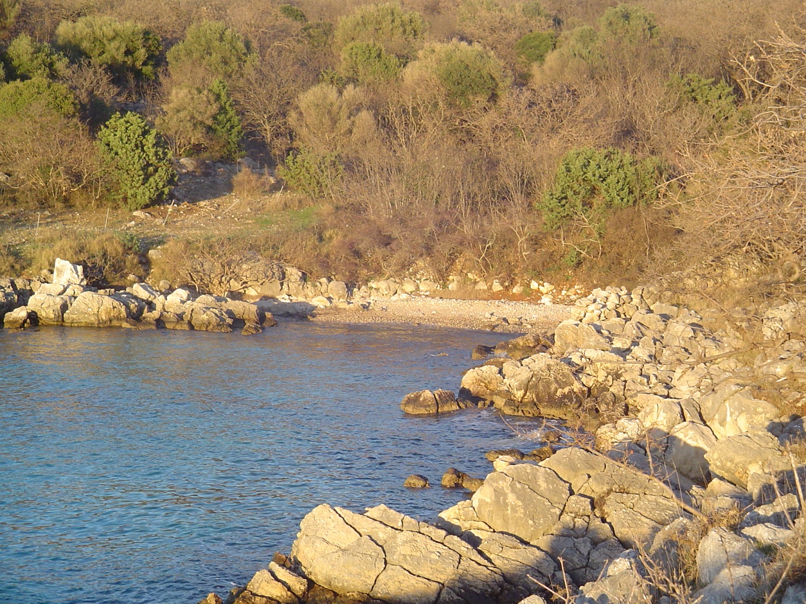 Foto di Beach Cicovac zona selvaggia