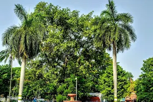 Atal Bihari Vajpayee Park image