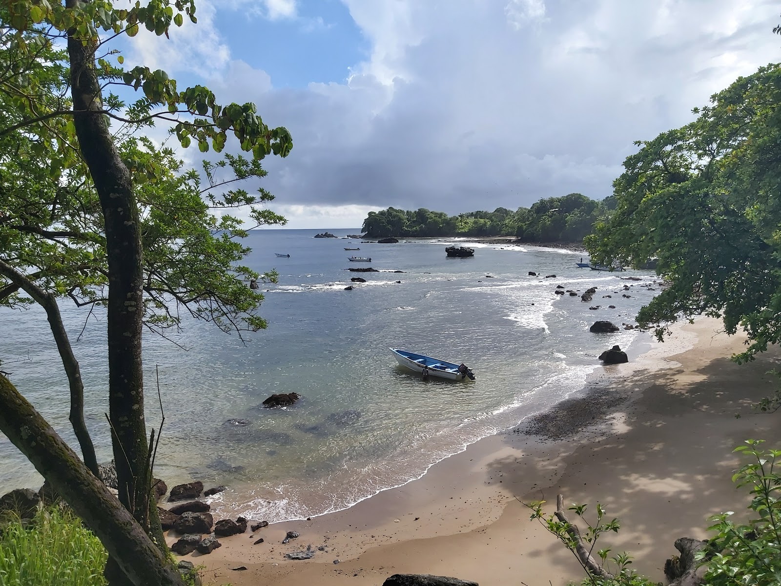 Toco beach'in fotoğrafı imkanlar alanı