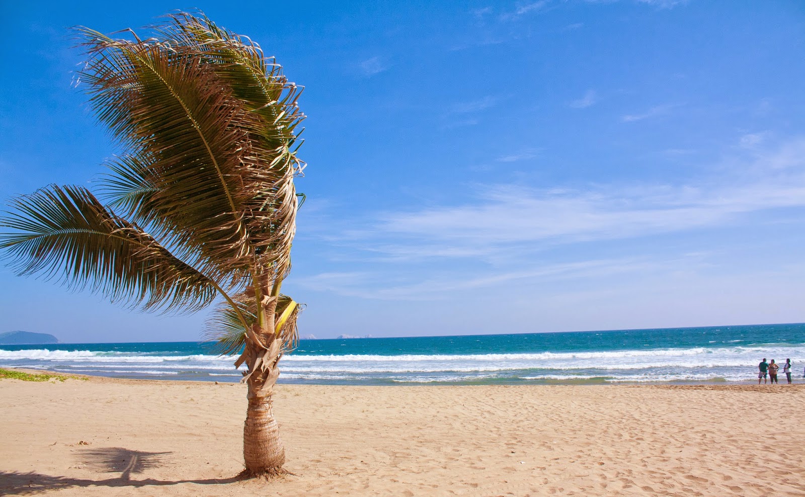 Playa Barra De Potosi的照片 带有明亮的细沙表面