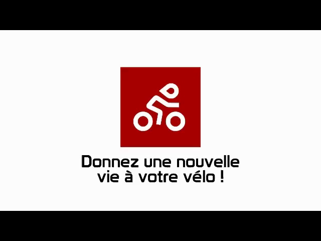 Rezensionen über Electrobike Zone sàrl in Lausanne - Fahrradgeschäft