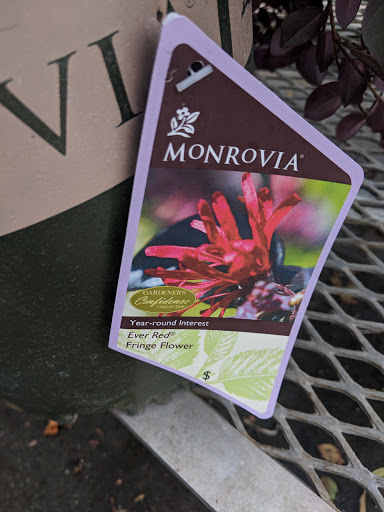 Hardware Store «Orchard Supply Hardware», reviews and photos, 2245 Gellert Blvd, South San Francisco, CA 94080, USA