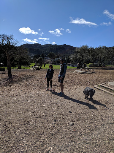 Playland Sausalito and Mt.Tam Adventure Camps LLC - 6