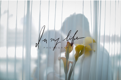 IN MY LIFE photography /インマイライフ フォトグラフィー
