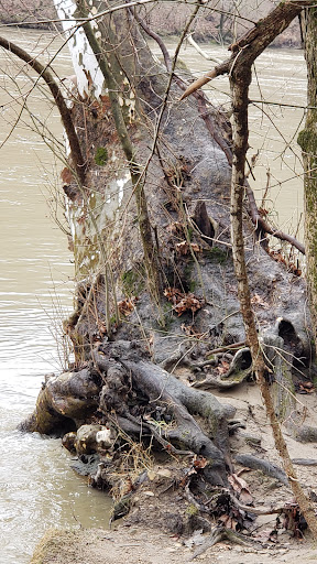 Nature Preserve «Kelley Nature Preserve», reviews and photos, 297 OH-126, Loveland, OH 45140, USA