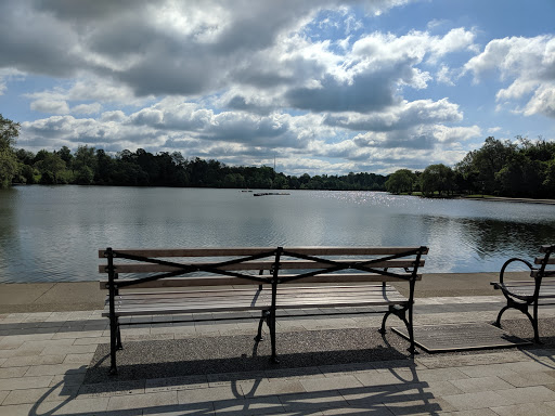 Art Museum «Albright-Knox Art Gallery», reviews and photos, 1285 Elmwood Ave, Buffalo, NY 14222, USA