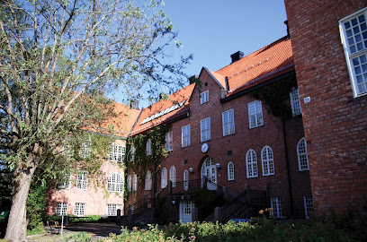 Internationella Engelska Skolan i Sundsvall
