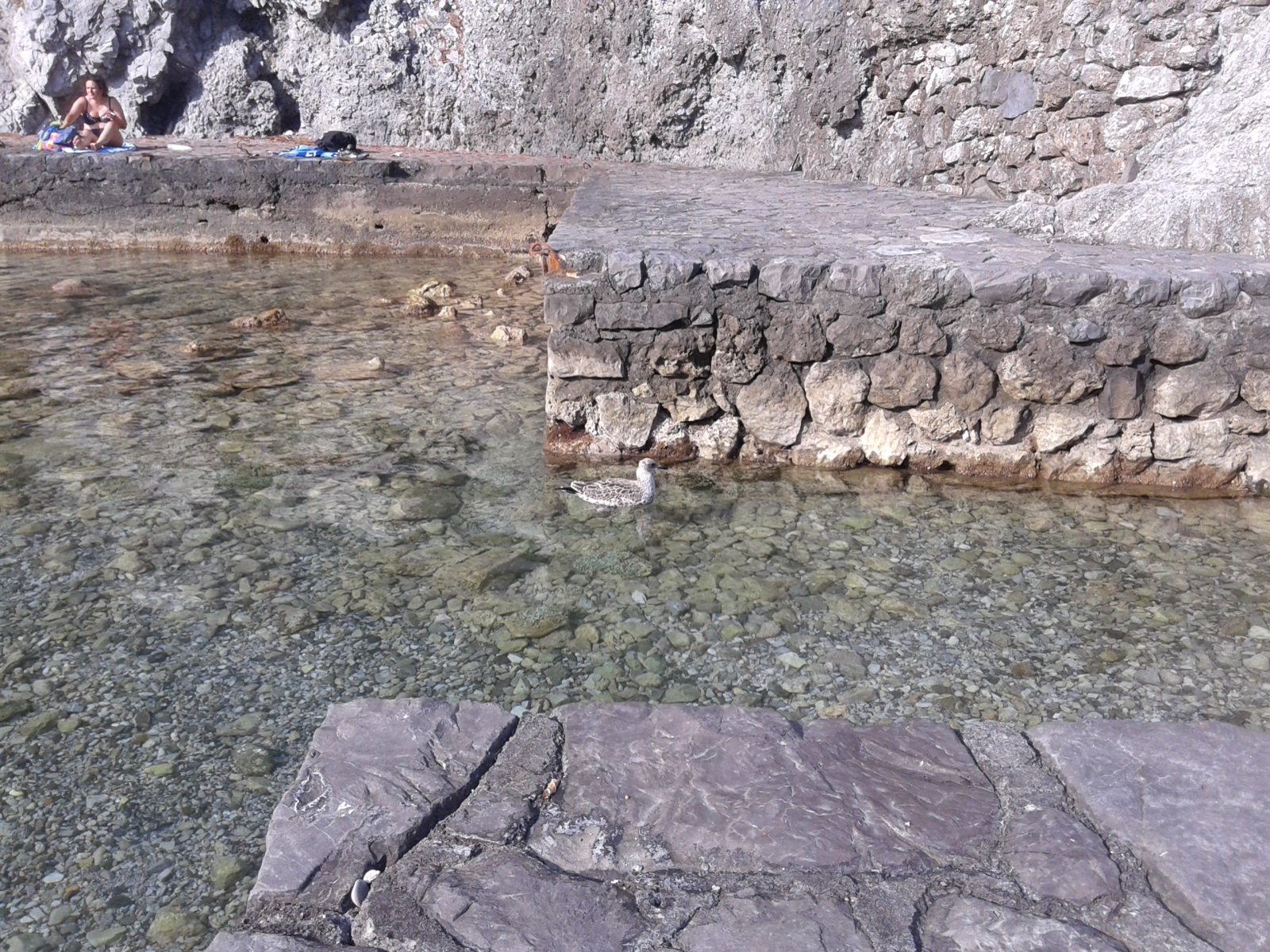 Photo of Cala Tunnara II wild area