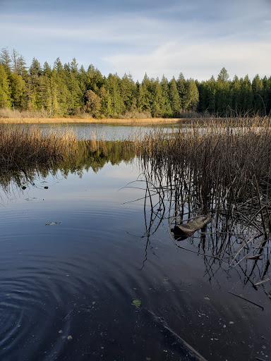 Nature Preserve «Gazzam Lake Nature Preserve», reviews and photos, 6105 NE Marshall Rd, Bainbridge Island, WA 98110, USA