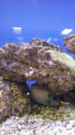 Pet Supply Store «Petco Animal Supplies», reviews and photos, 450 N Rte 17, Paramus, NJ 07652, USA