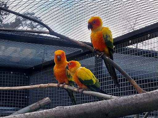 Solingen Bird and Tierpark unter Solingen, 