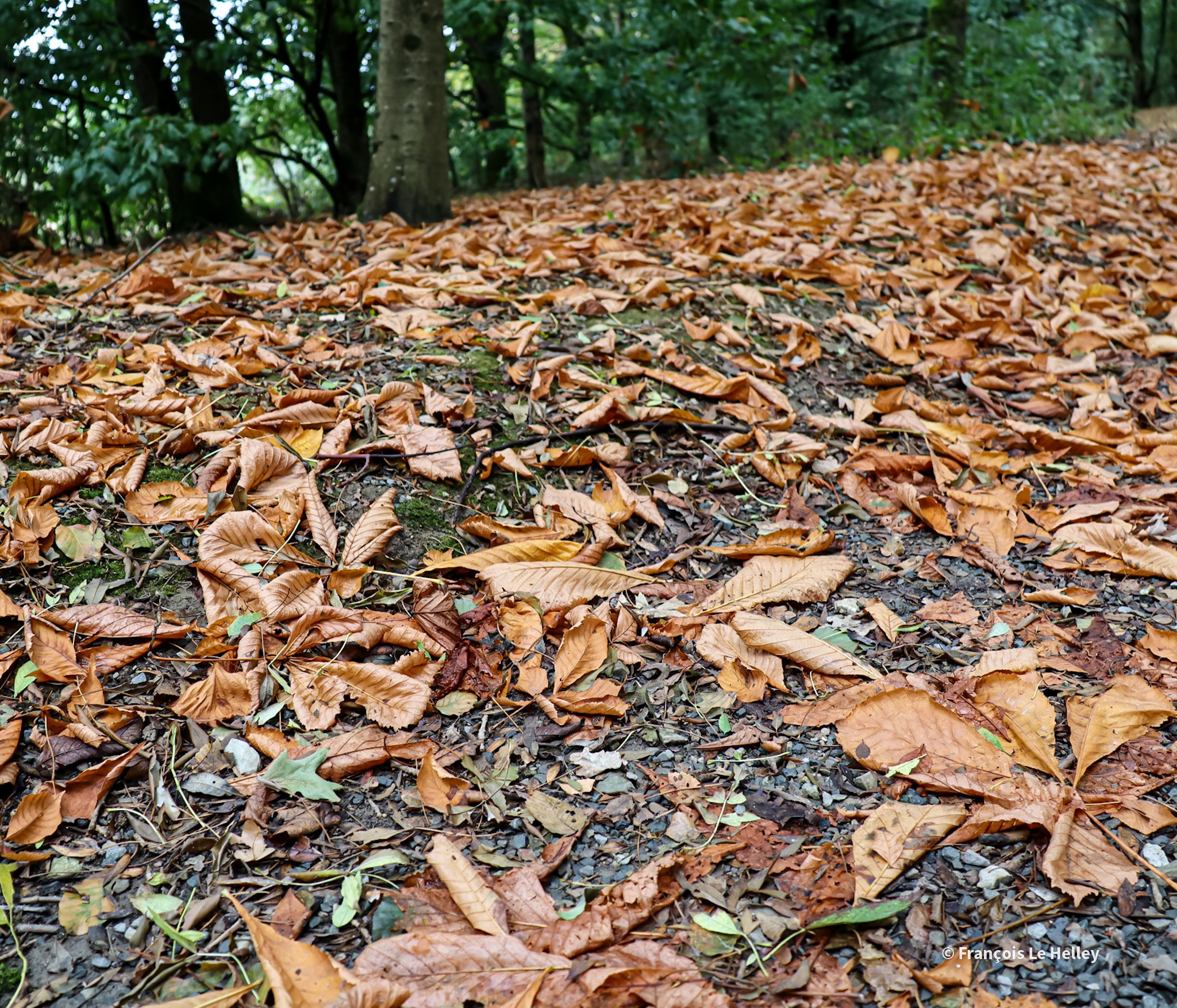 Photo n° 12 de l'avis de François.e fait le 20/09/2023 à 12:12