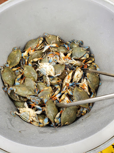 Shopping Mall «Carrollton Shopping Center», reviews and photos, 8474 Annapolis Rd, New Carrollton, MD 20784, USA