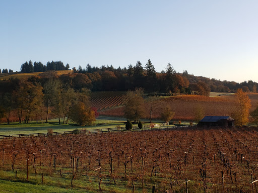 Winery «Zenith Vineyard», reviews and photos, 5657 Zena Rd NW, Salem, OR 97304, USA