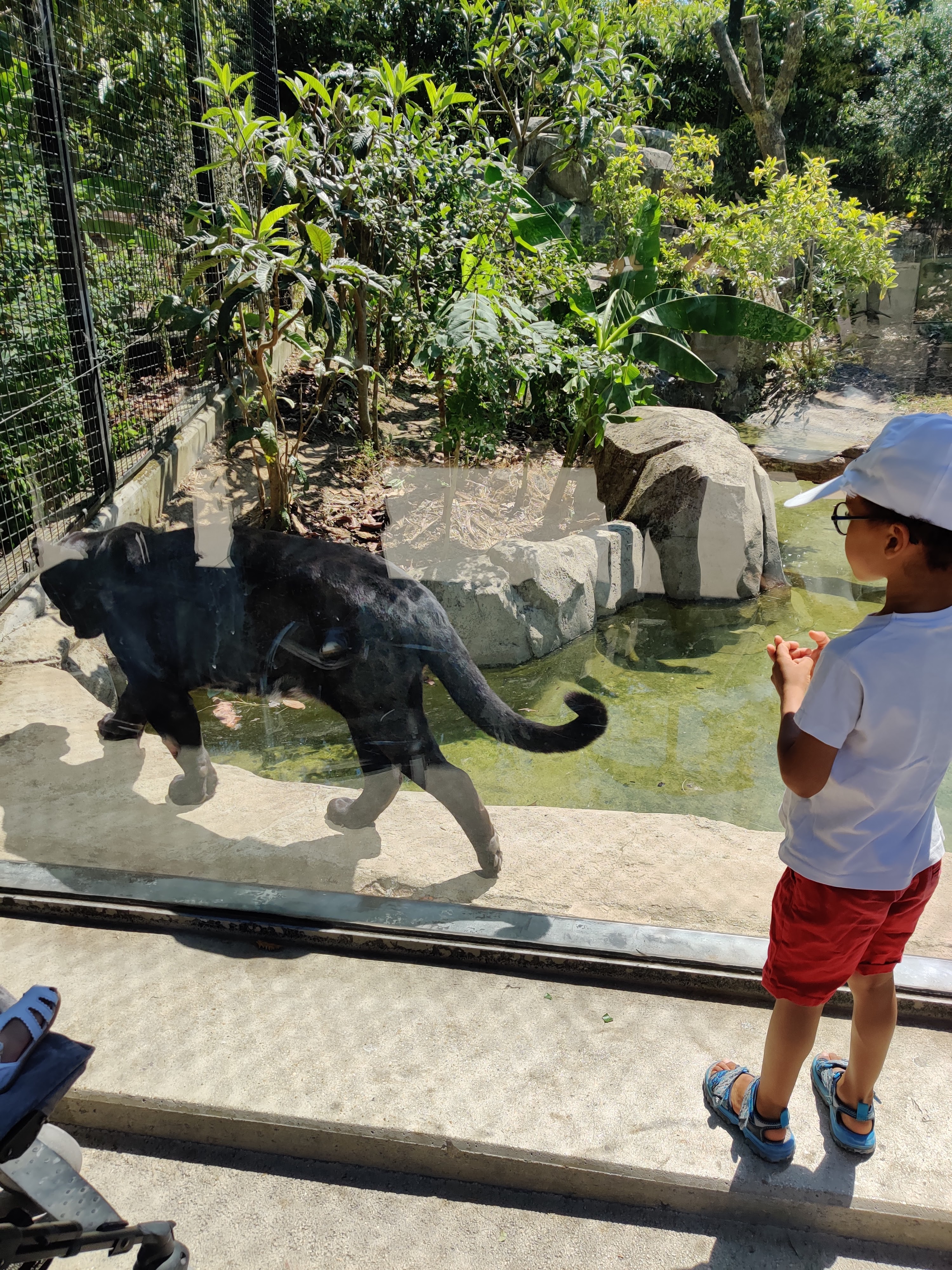 Photo n° 1 de l'avis de Francine.o fait le 18/09/2018 à 11:56